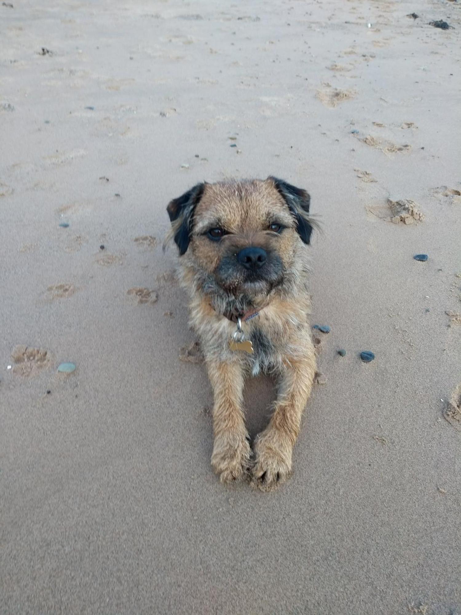Holiday home Escape To Anglesey, Dog Friendly *