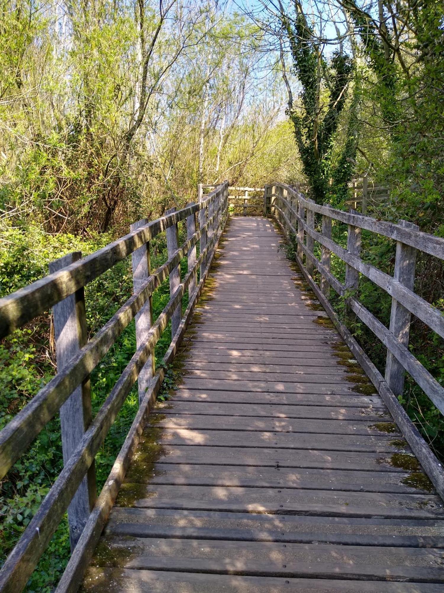 Escape To Anglesey, Dog Friendly Llangoed